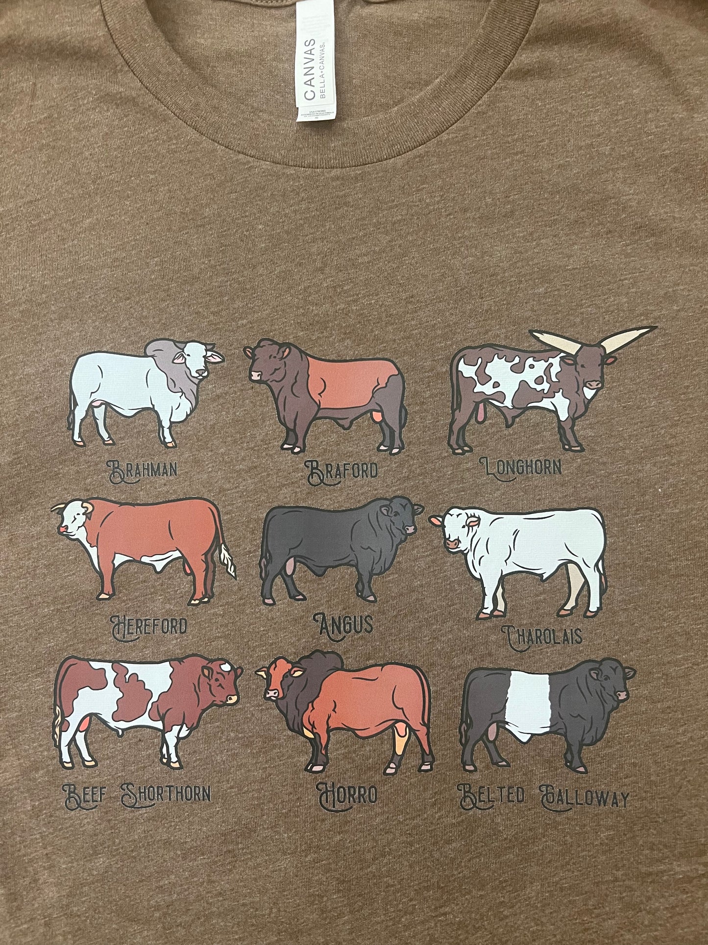 Cow Breeds